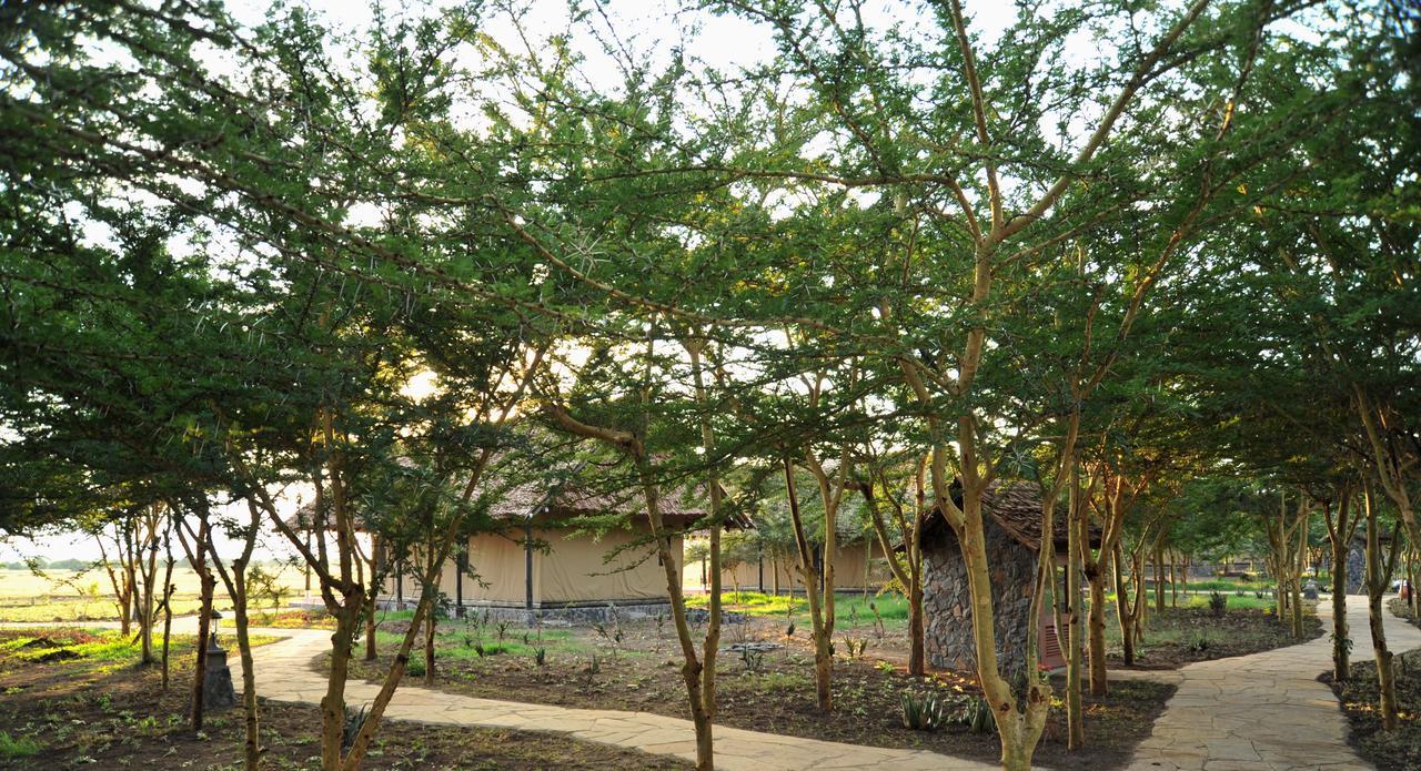 Sweetwaters Serena Camp Nanyuki Exterior photo