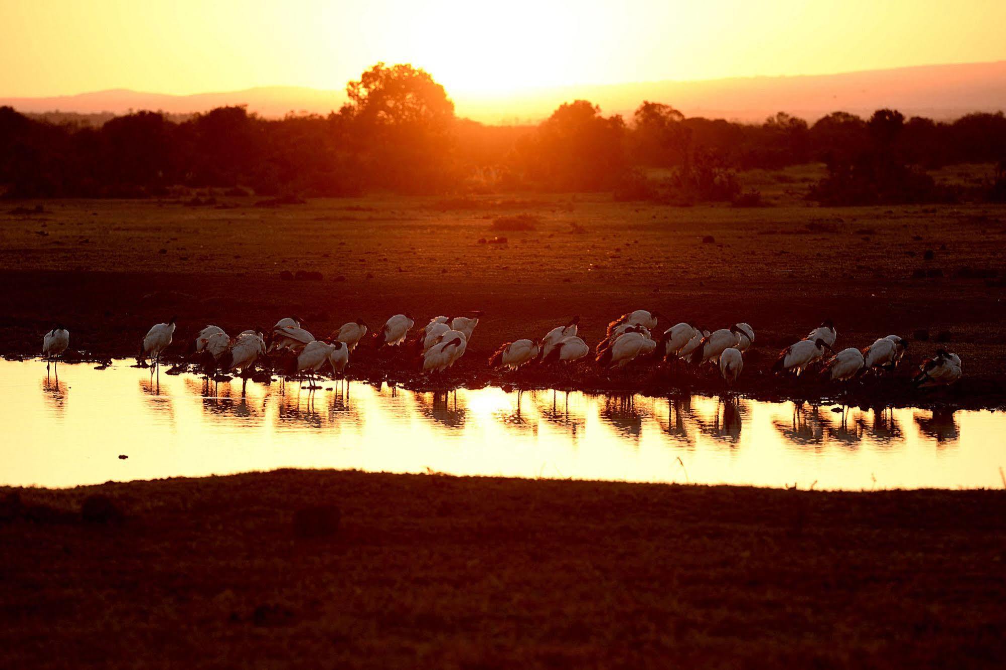 Sweetwaters Serena Camp Nanyuki Exterior photo